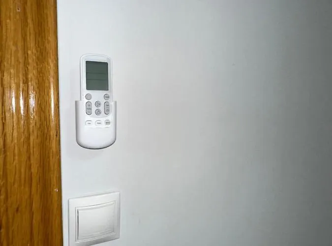 Picarral 사라고사